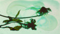Phoretum_103