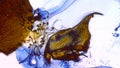 Phoretum_3