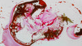 Phoretum_11