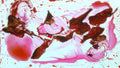Phoretum_76