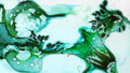 Phoretum_16
