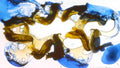 Phoretum_25