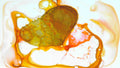 Phoretum_48