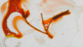 Phoretum_106