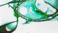 Phoretum_41