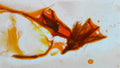 Phoretum_117