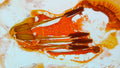 Phoretum_27