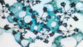 Phoretum_64