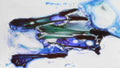 Phoretum_113