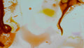 Phoretum_104