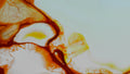 Phoretum_99